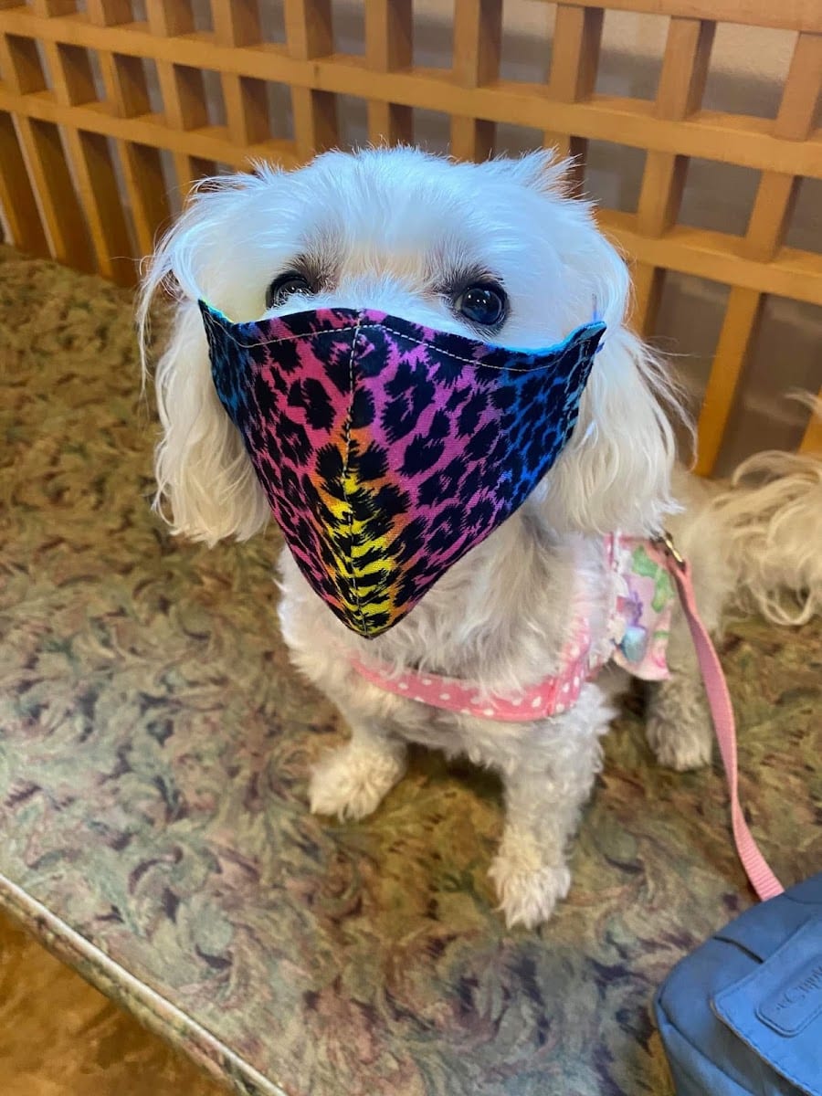 Dr. Ally's Animal Clinic of Punta Gorda (Animal Medical Clinic of Punta Gorda), photo 4