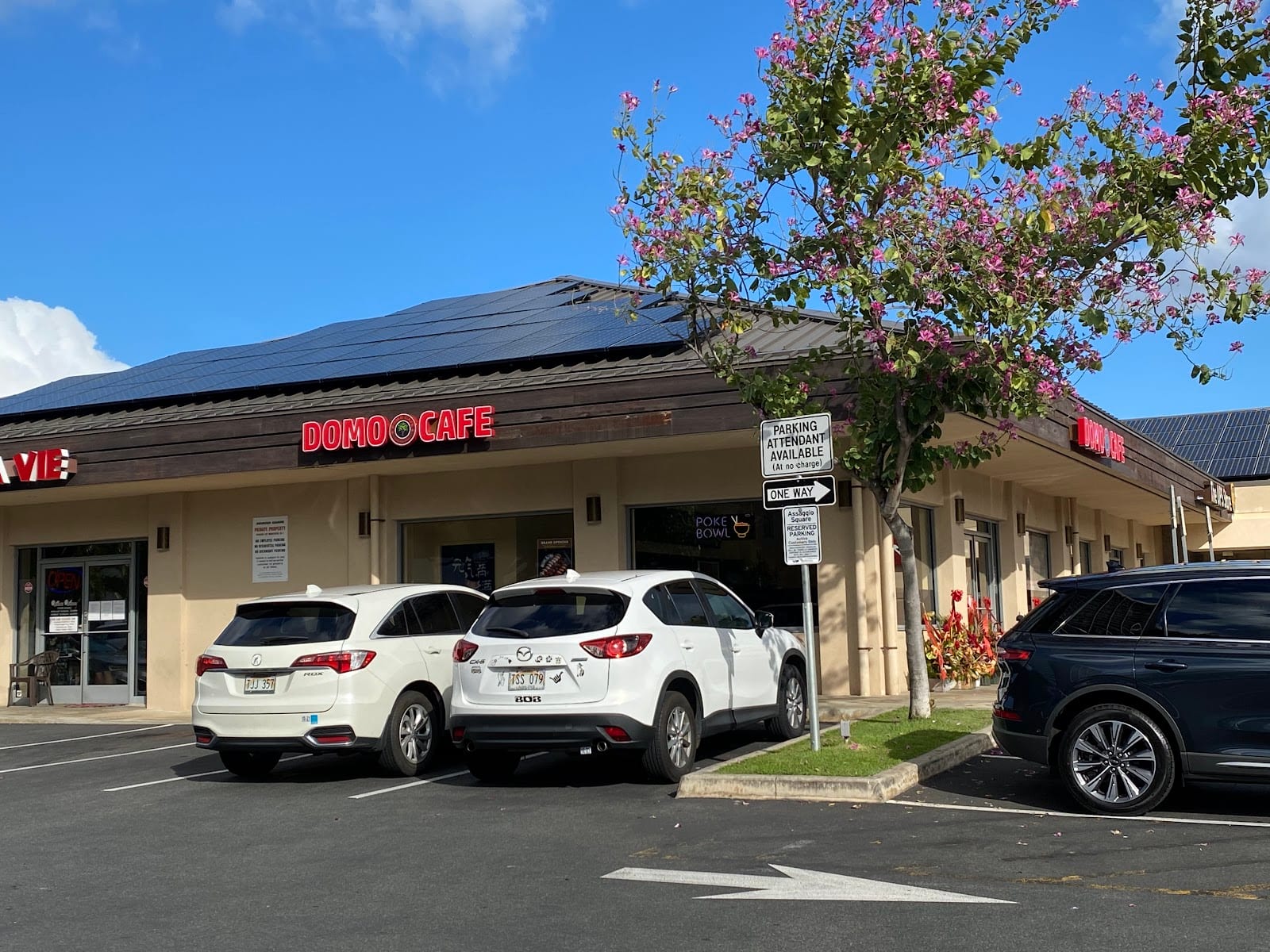 Domo Cafe | Kahala