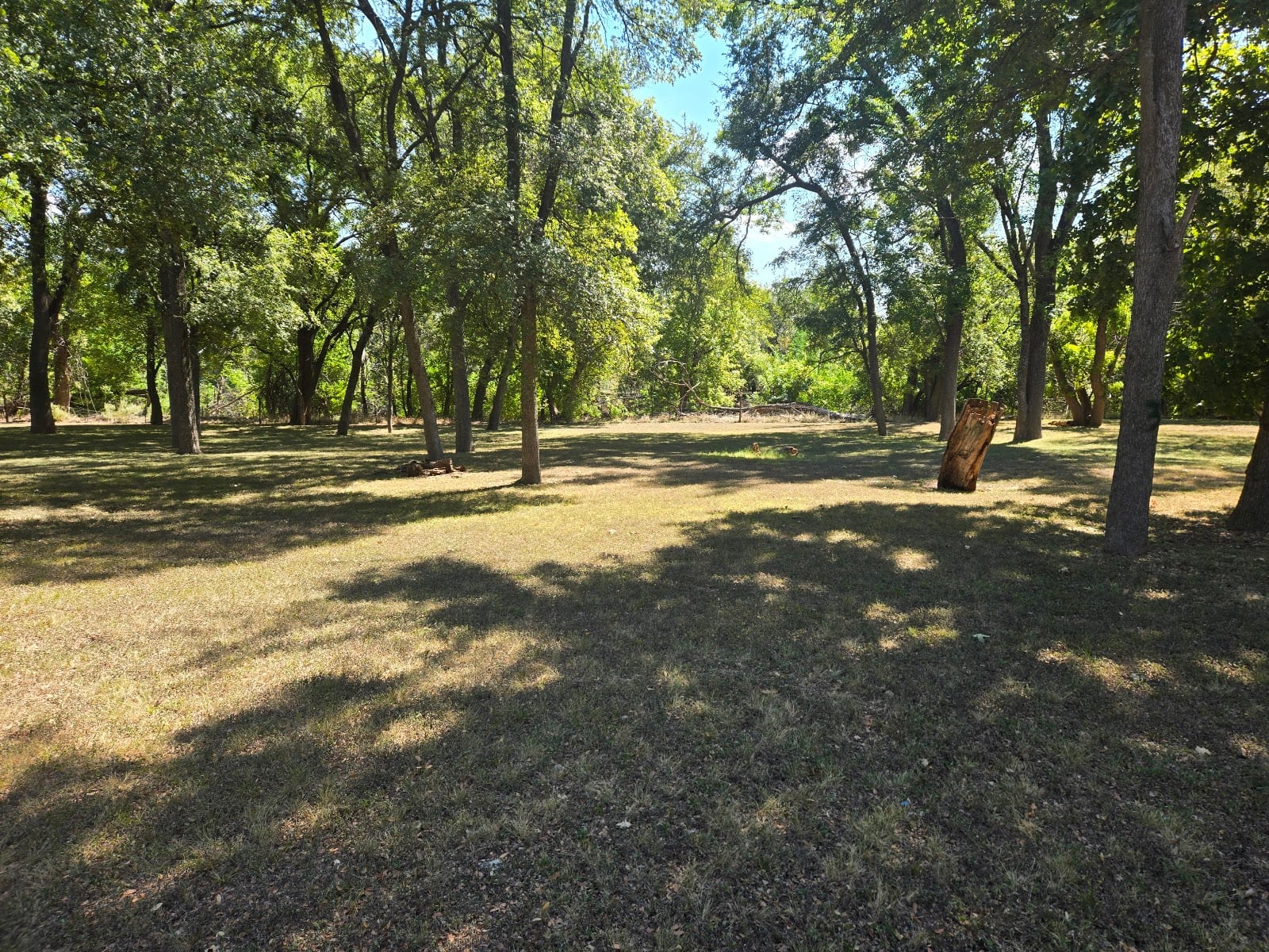 The Butterfly Garden, photo 2