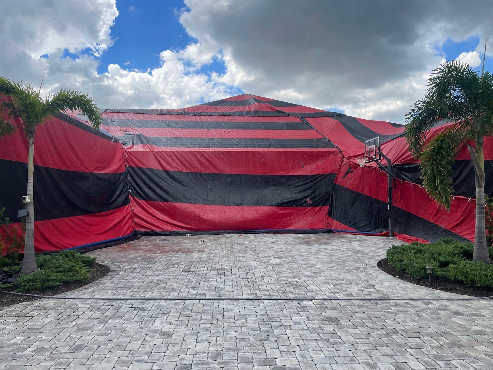 Pest n' Tent LLC