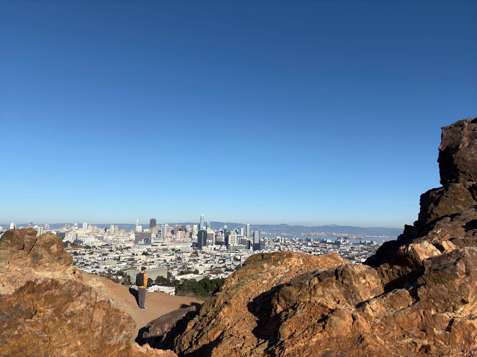 Corona Heights Dog Run