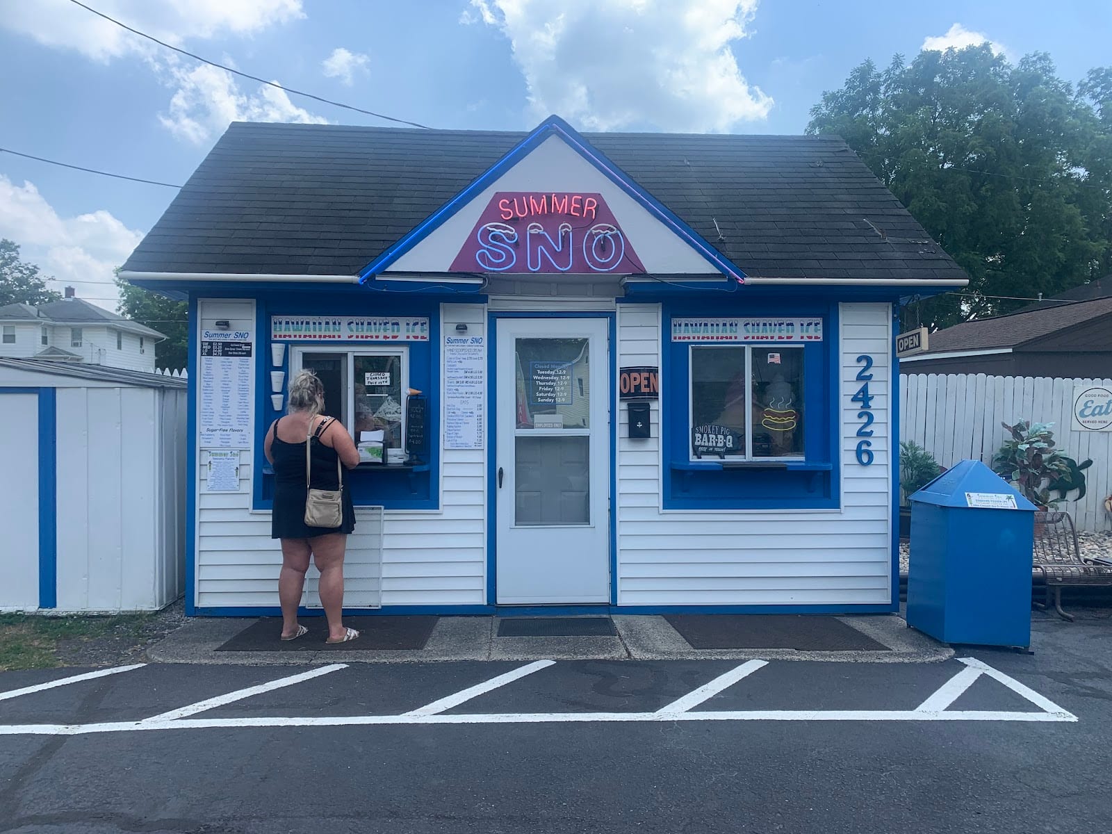 Summer Sno