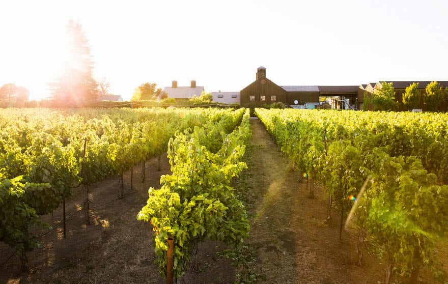 Turnbull Wine Cellars, photo 2
