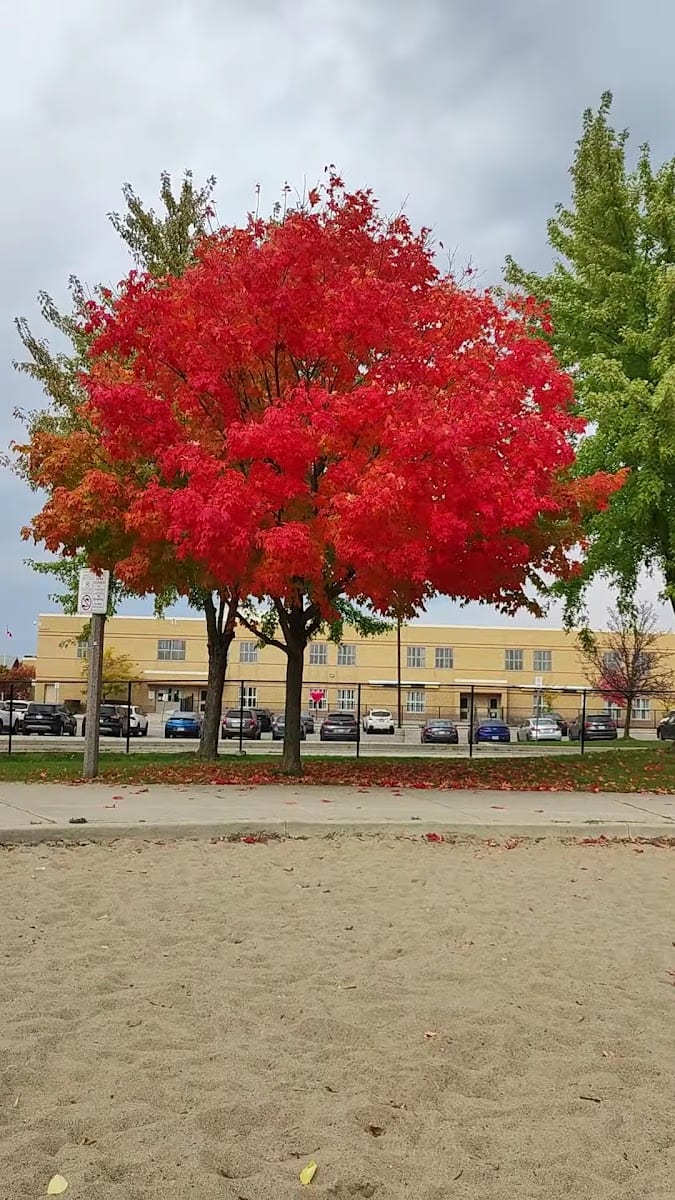 John Tipp Park, photo 2