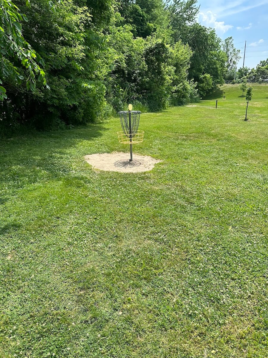 West Swinney Park Disc Golf Course, photo 2