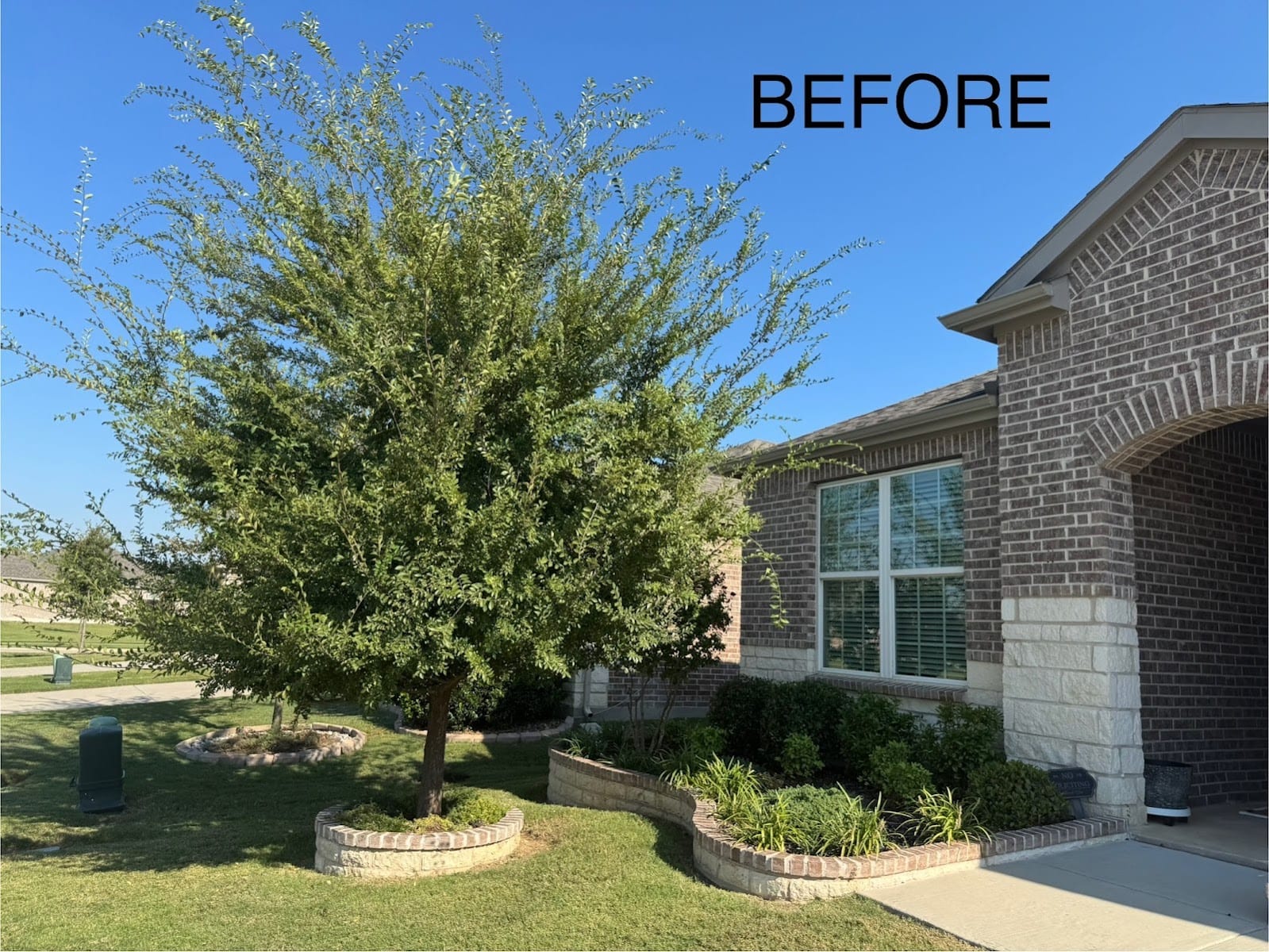 Erik's Tree & Lawn Care Services, photo 4