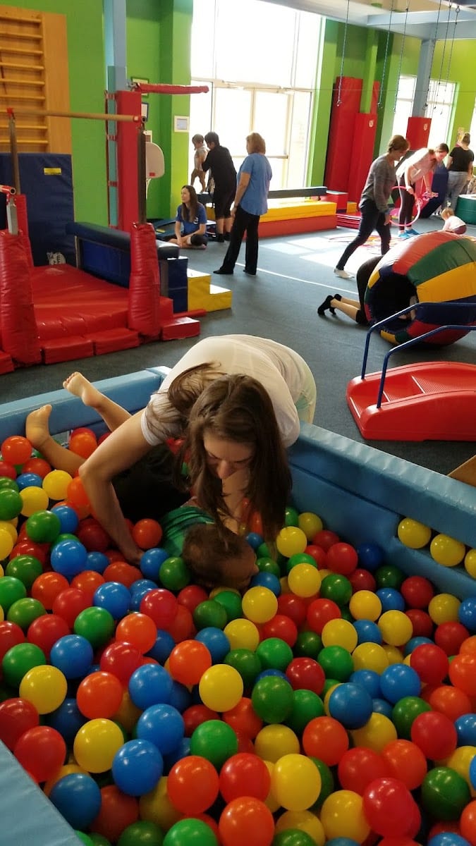My Gym Children's Fitness Center, photo 4