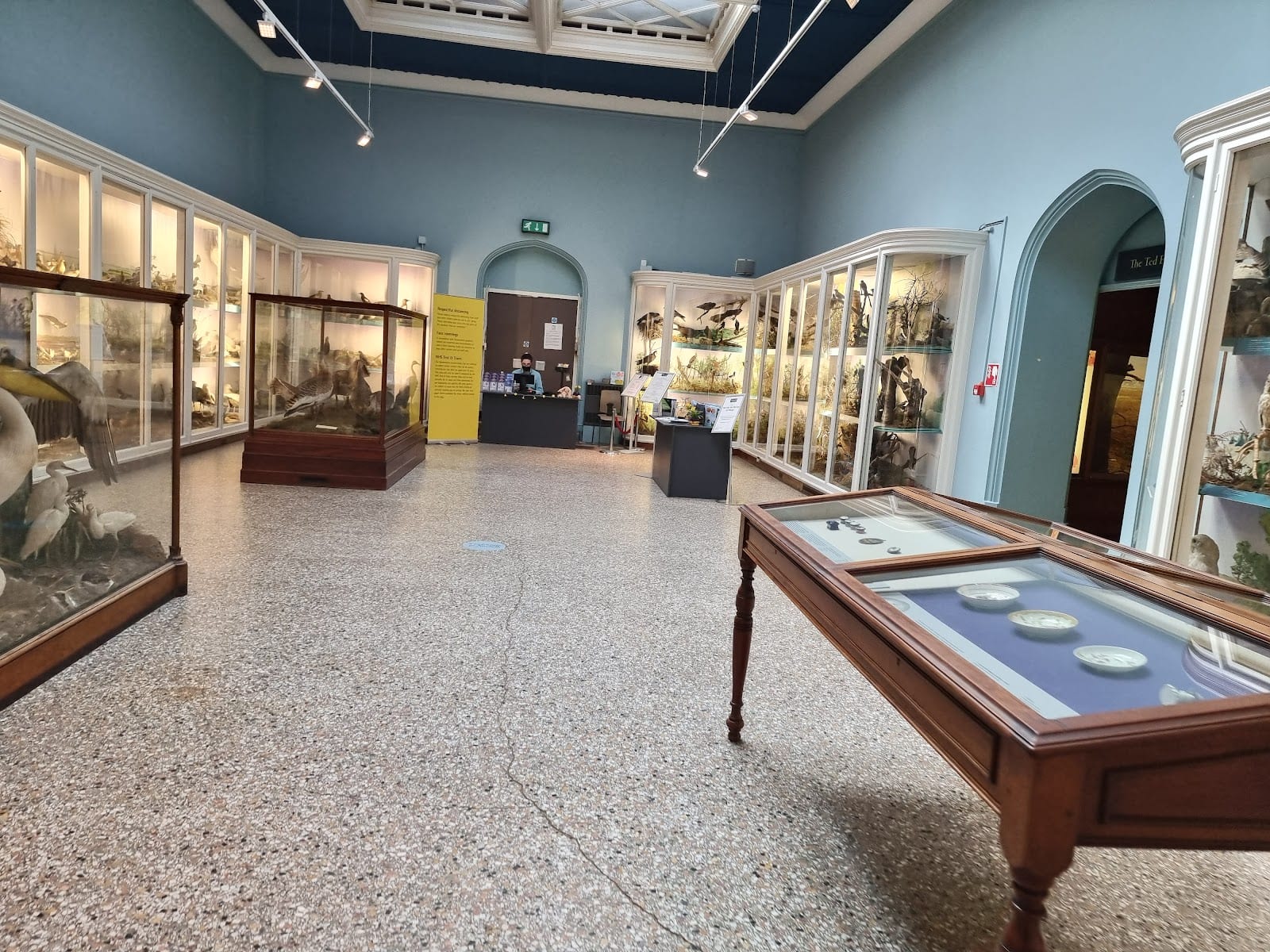 Norfolk Wildlife Gallery