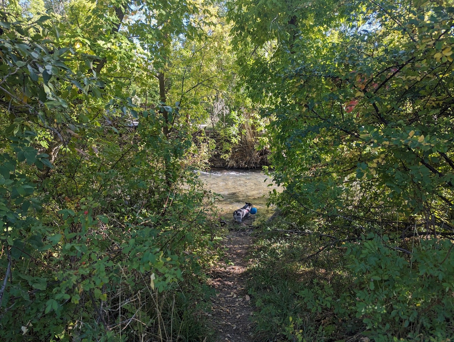 Sumac Park, photo 2