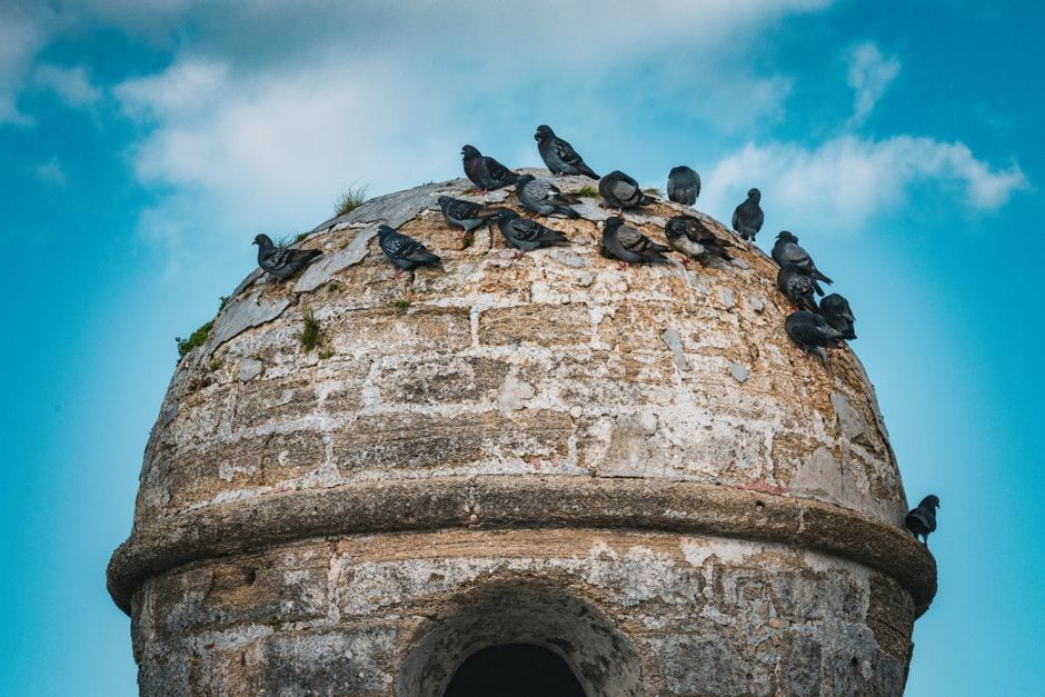 Castillo de San Marcos in St. Augustine