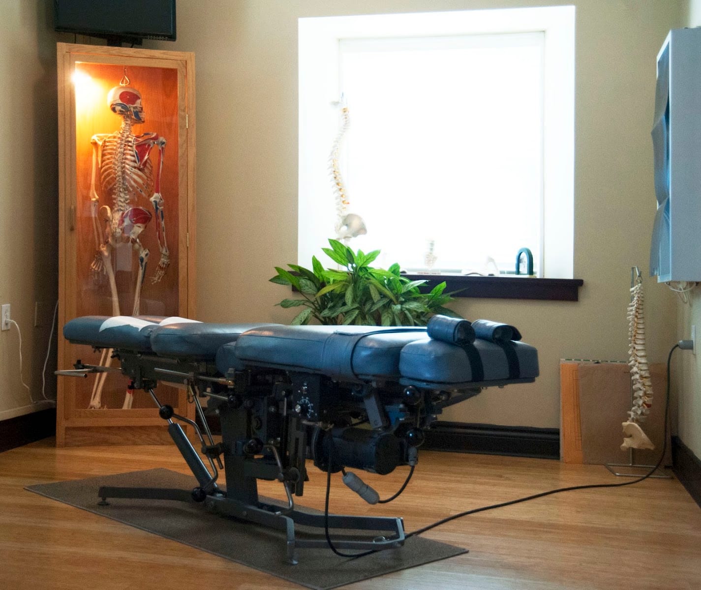 Mount Logan Chiropractic