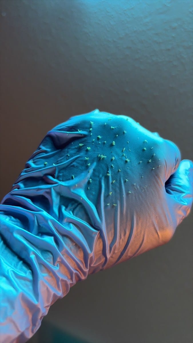 Saltwater Aesthetics, photo 4