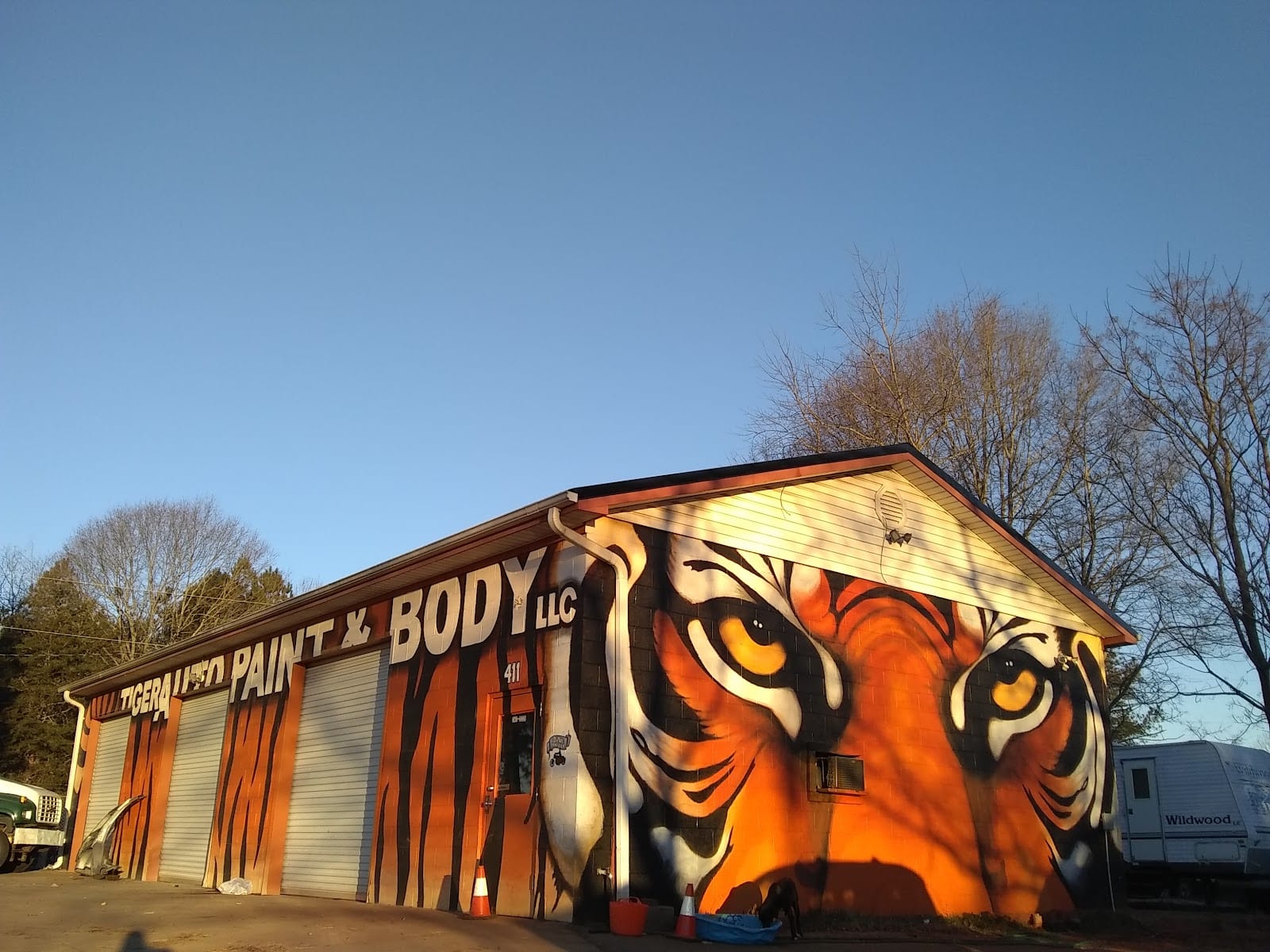 Tiger Auto Paint & Body LLC, photo 3