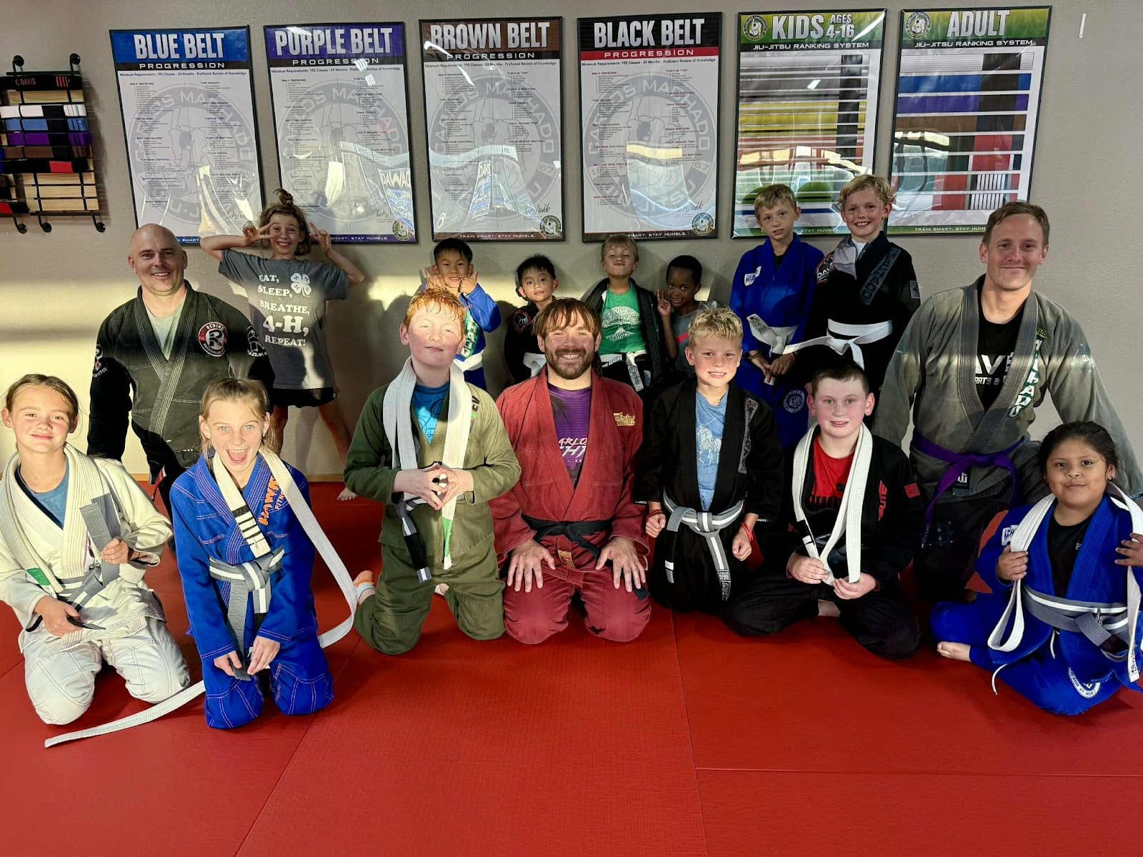 Davis Martial Arts & Fitness, photo 2