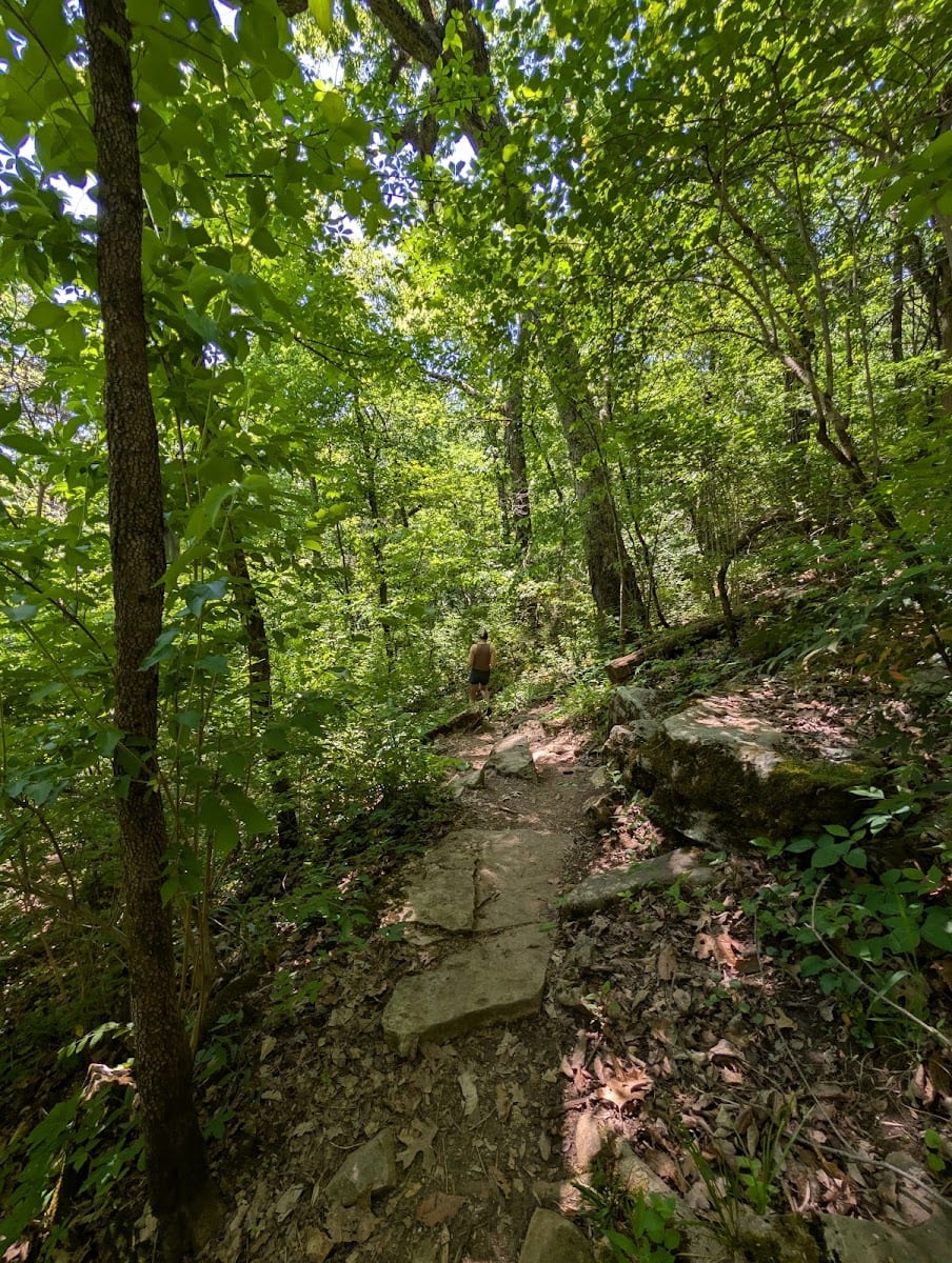 Spring Trail