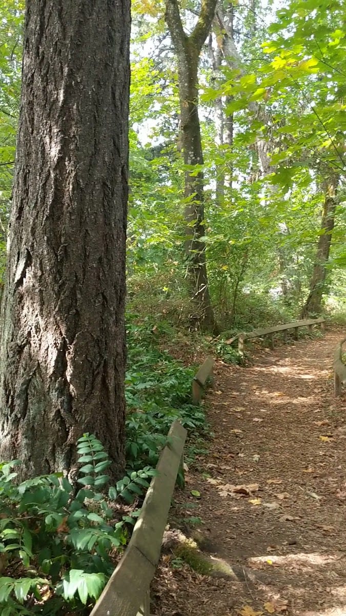 Homewood Park, photo 2