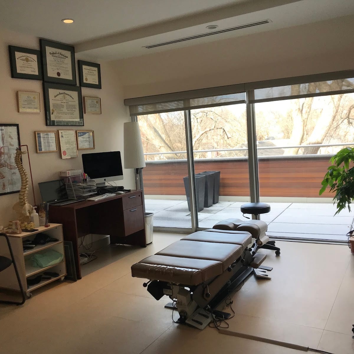 My Toronto Chiropractor - Dr. Leslie Horowitz