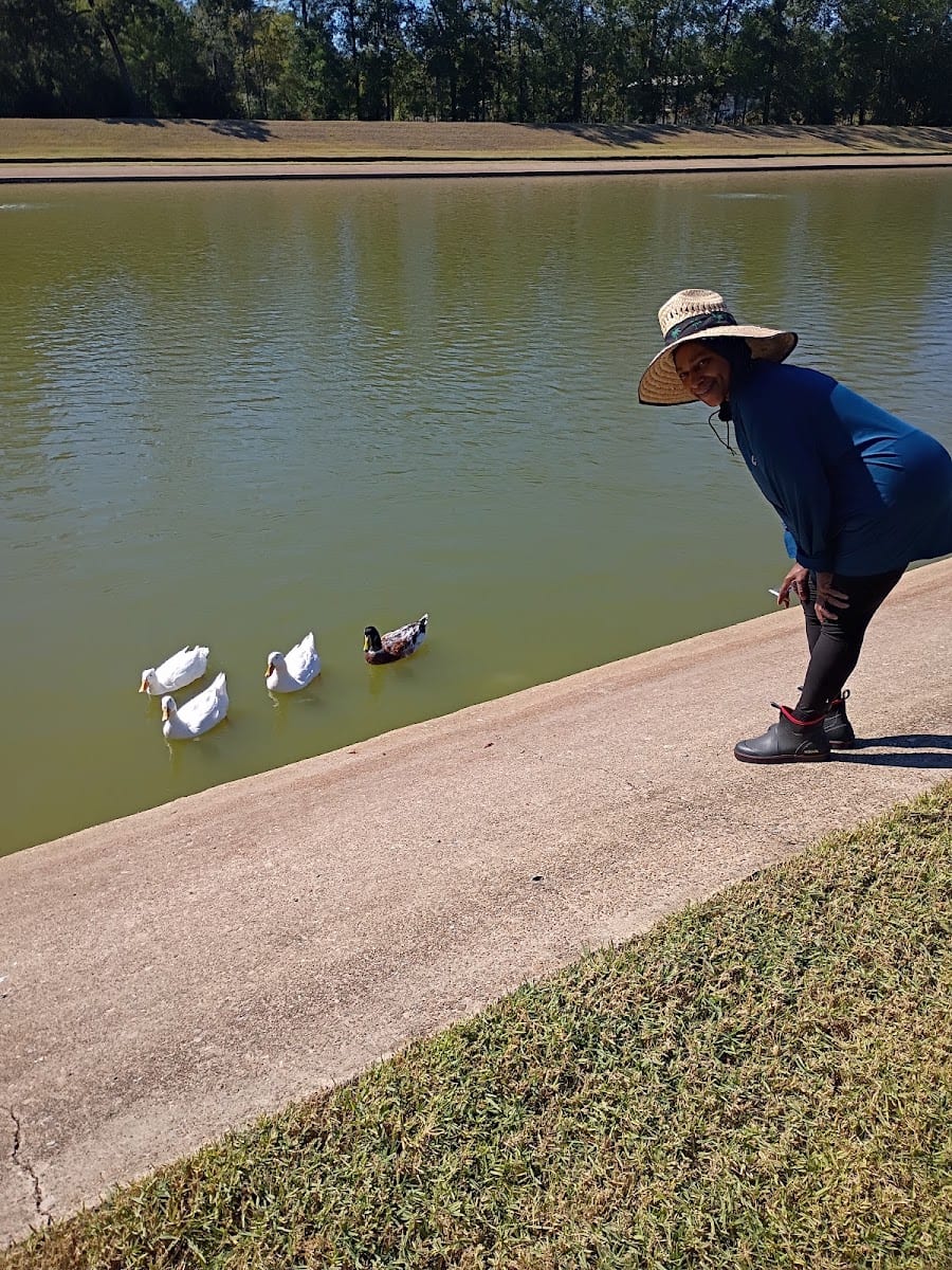 Herman Little Park
