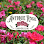 Antique Rose Emporium - Nursery & Display Gardens