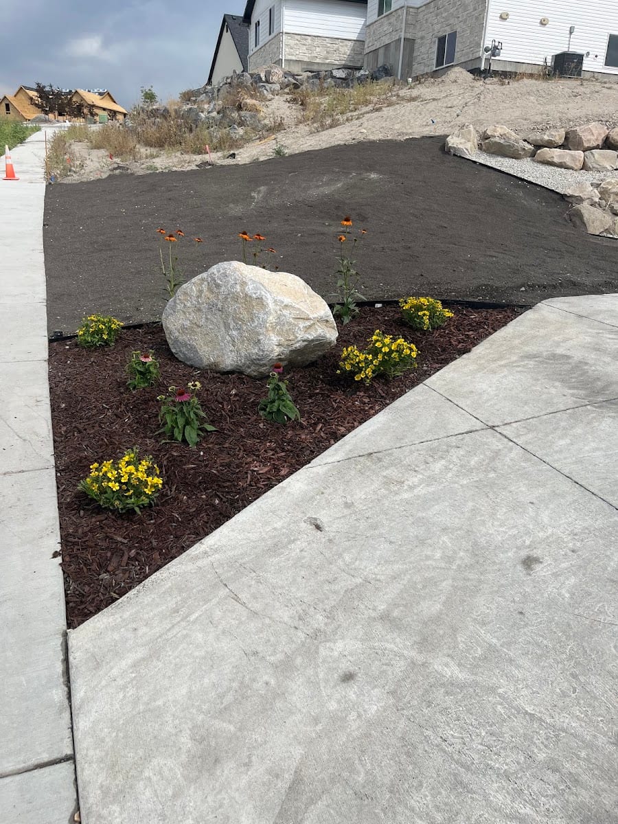 Revive Landscaping
