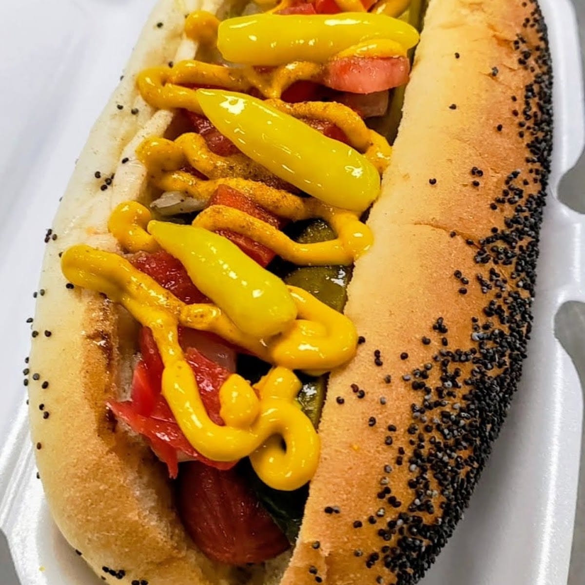 Hot Diggity Dogs & Burgers, photo 4