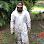 Sarasota Bee Removal Inc - Bee Removal, Bee Control, Honey Bee Removal, Wasp, Hornet, Yellow Jacket