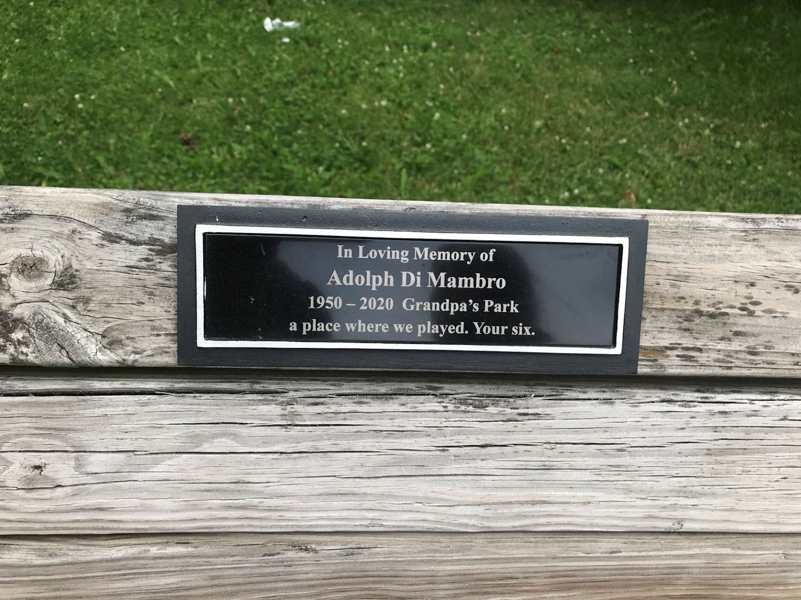 Mt Pleasant Park Playground, photo 3