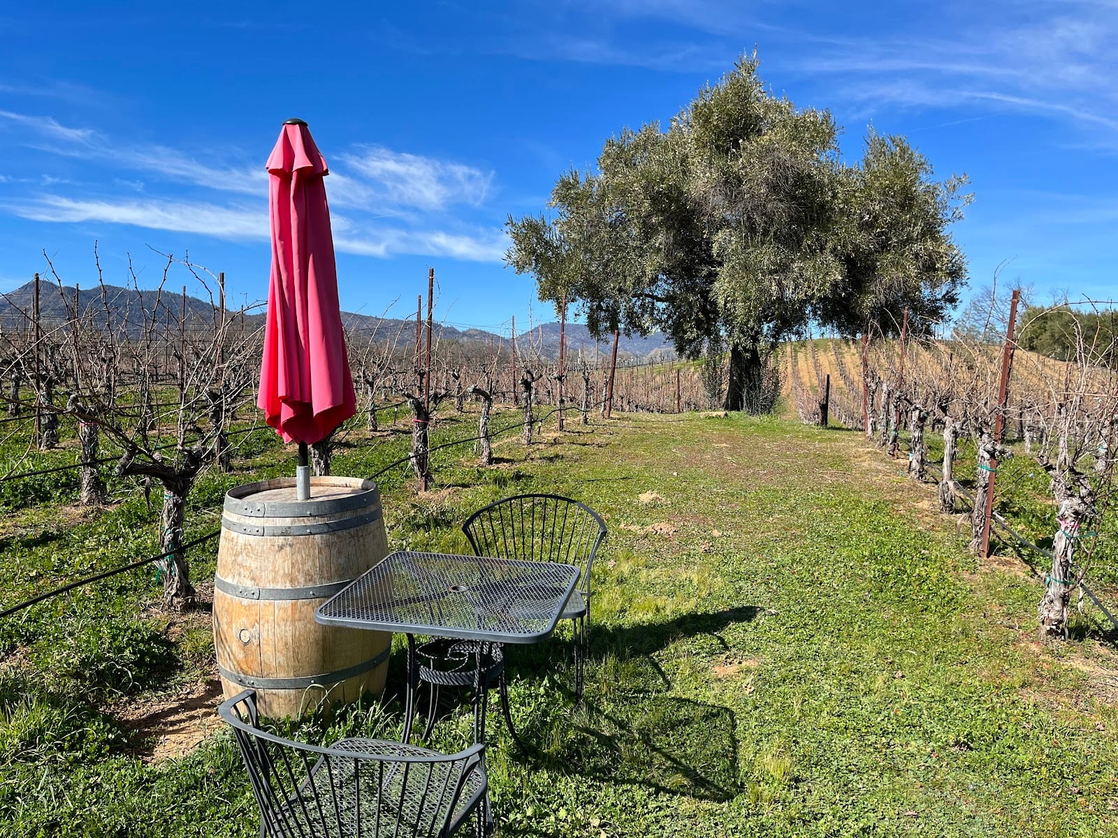 Pope Valley Winery, photo 4