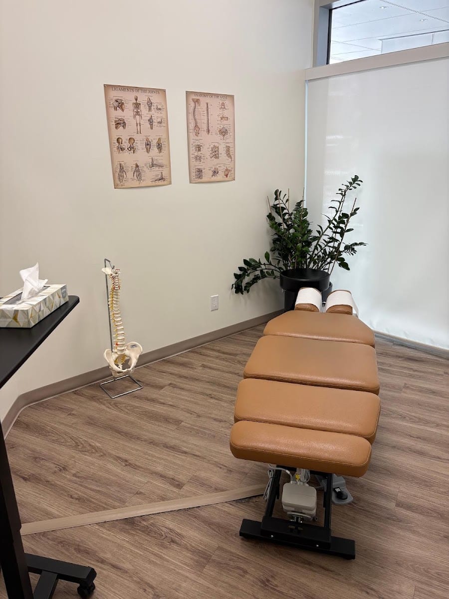 Kia Ora Chiropractic and Wellness, photo 3