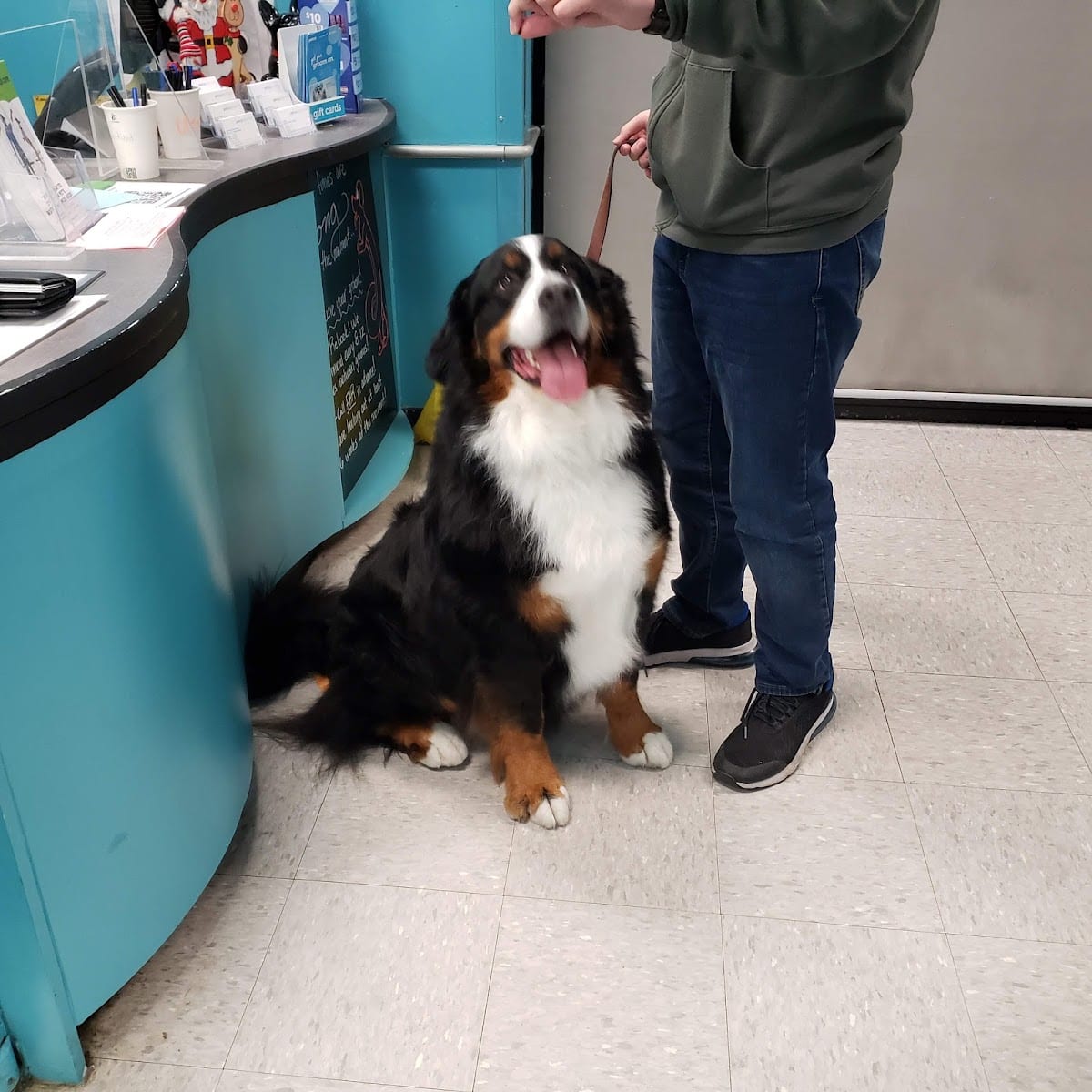 Petco, photo 4