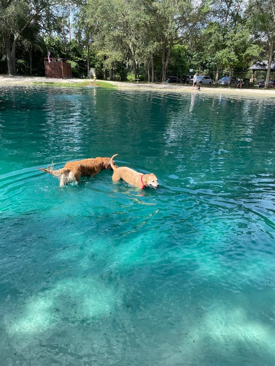 Poochie's Park, photo 4