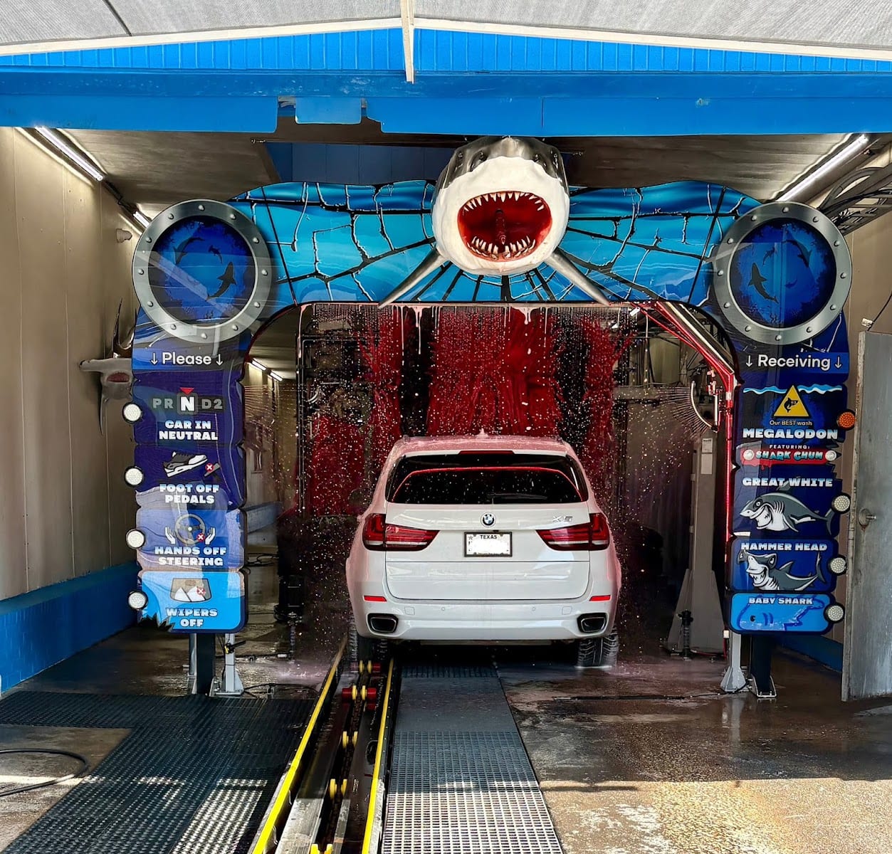 Shark Bite Car Wash Lewisville