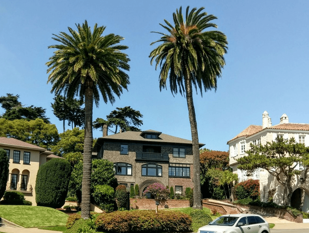 Luba Muzichenko, San Francisco Real Estate Expert, photo 4