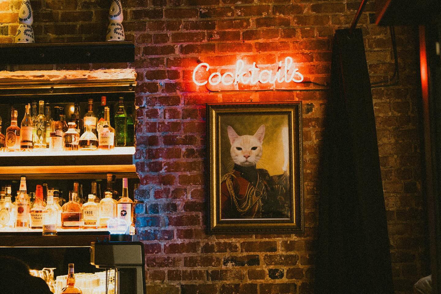 Lost Cat Bar & Bites, photo 2