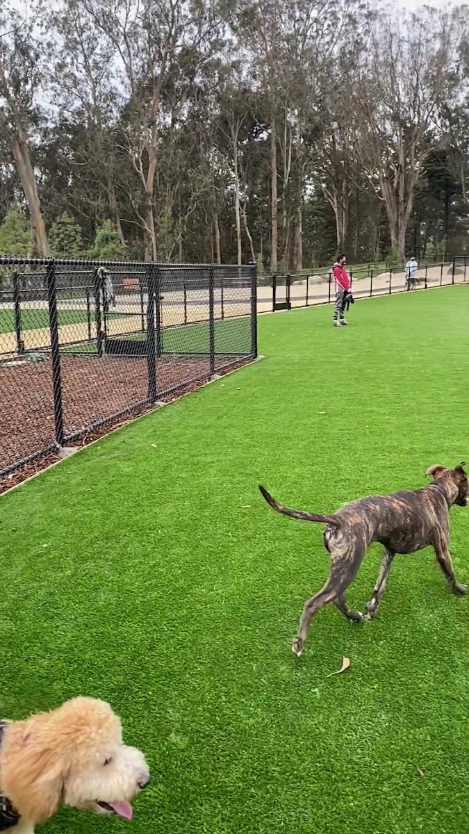 Golden Gate Park Dog Training Area, photo 2