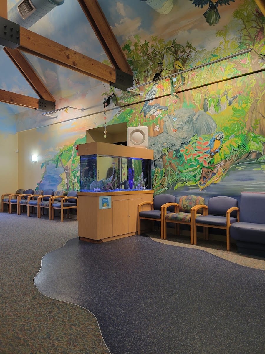 Olympia Pediatrics, PLLC