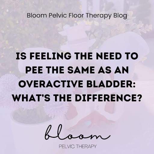 Bloom Pelvic Floor Therapy, photo 4