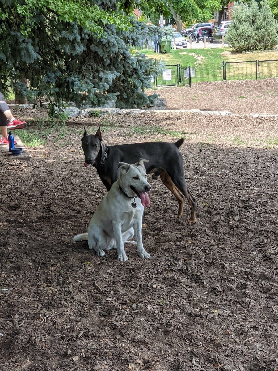 Sandy Bruce Park, photo 3