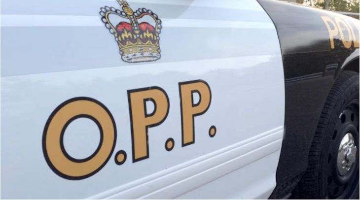 🚨 Cops Gone Wild, $10M Won at a Baseball Game & A Pedestrian Down — Plus ABBA, Tai Chi, Open Mics, a Dog Who Needs You & Free Food You Didn't Know About!