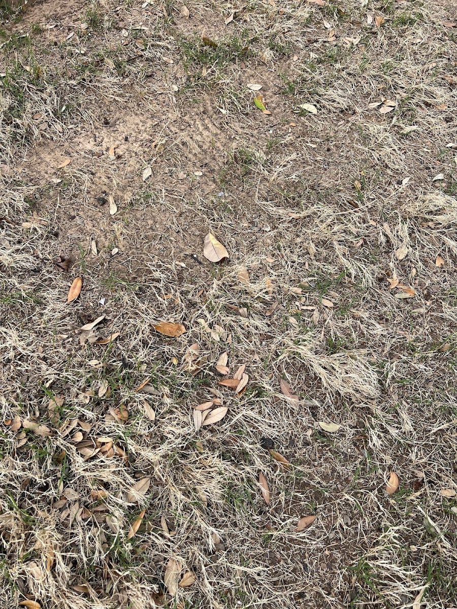 Gold Landscape Inc, photo 2