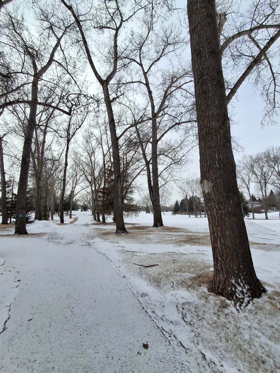 Broadmoor Public Golf Course, photo 4