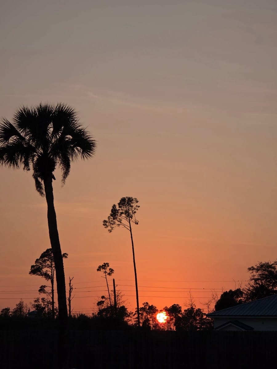 Harvey Dee Mathis Park, photo 2