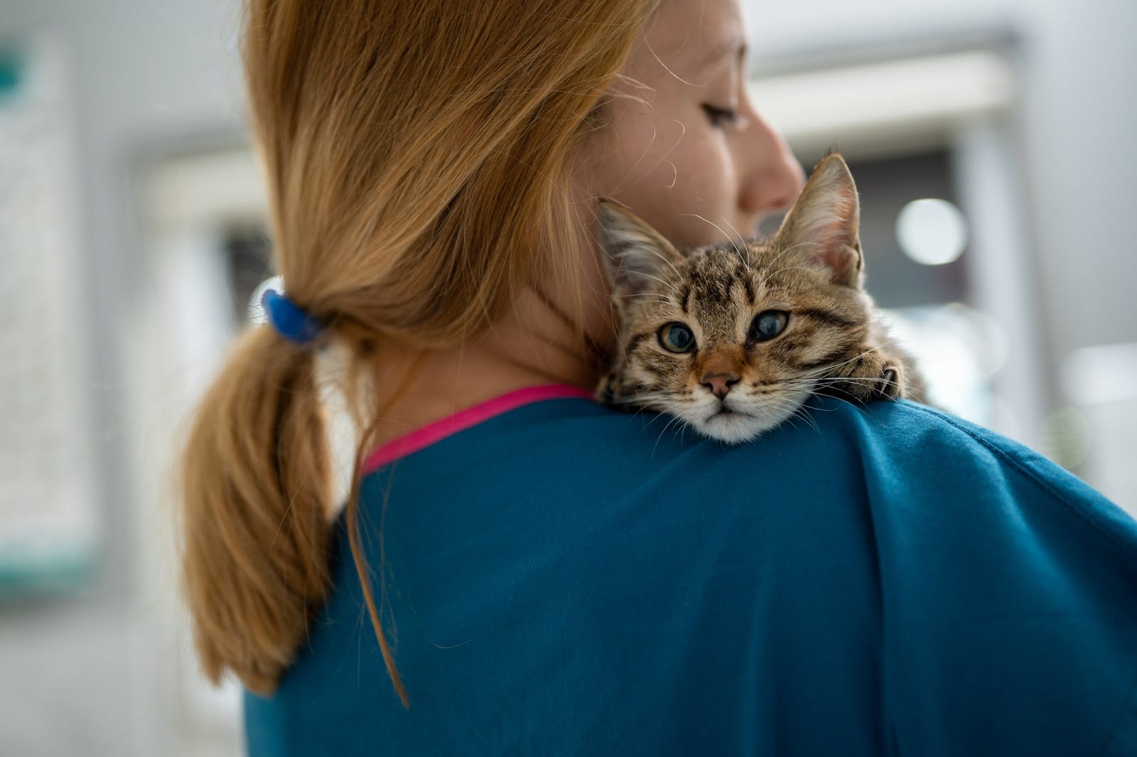Banfield Pet Hospital, photo 3