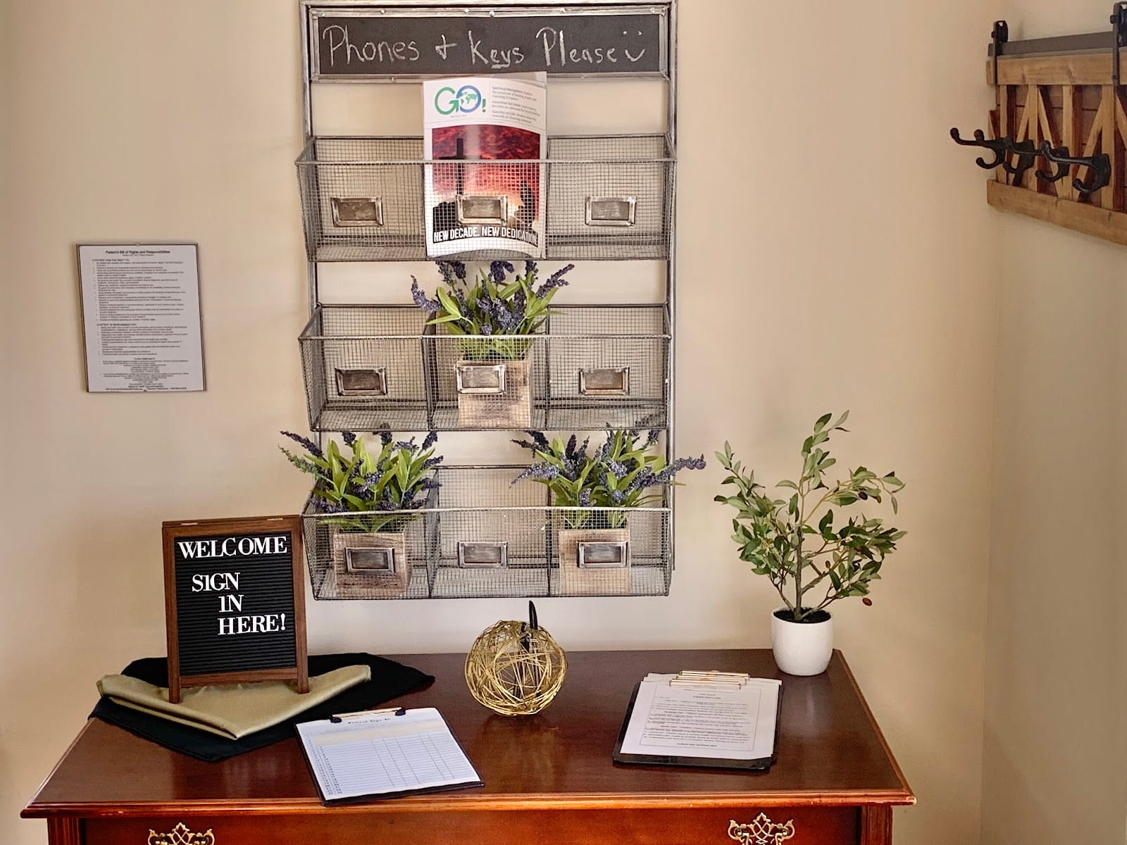 Olive Tree Physical Therapy, LLC