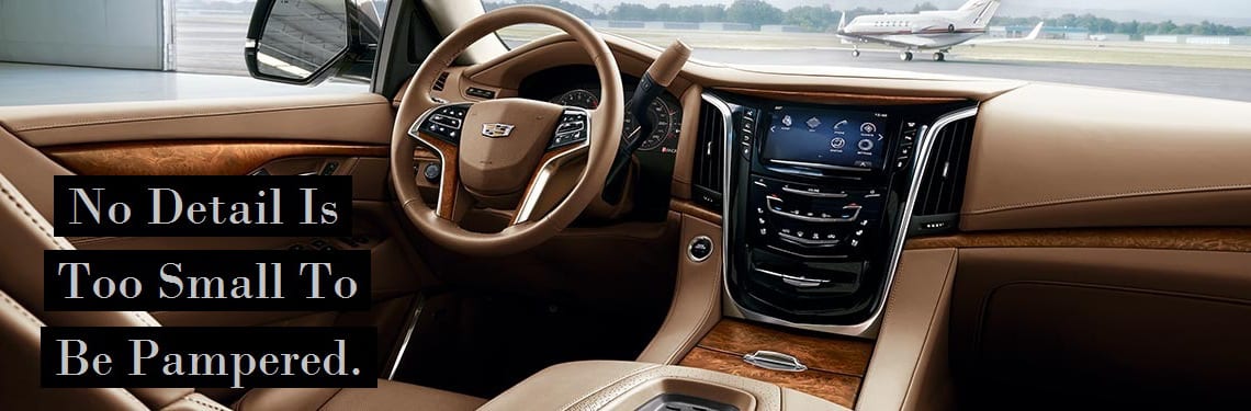 Mackay Dynamic Detailing