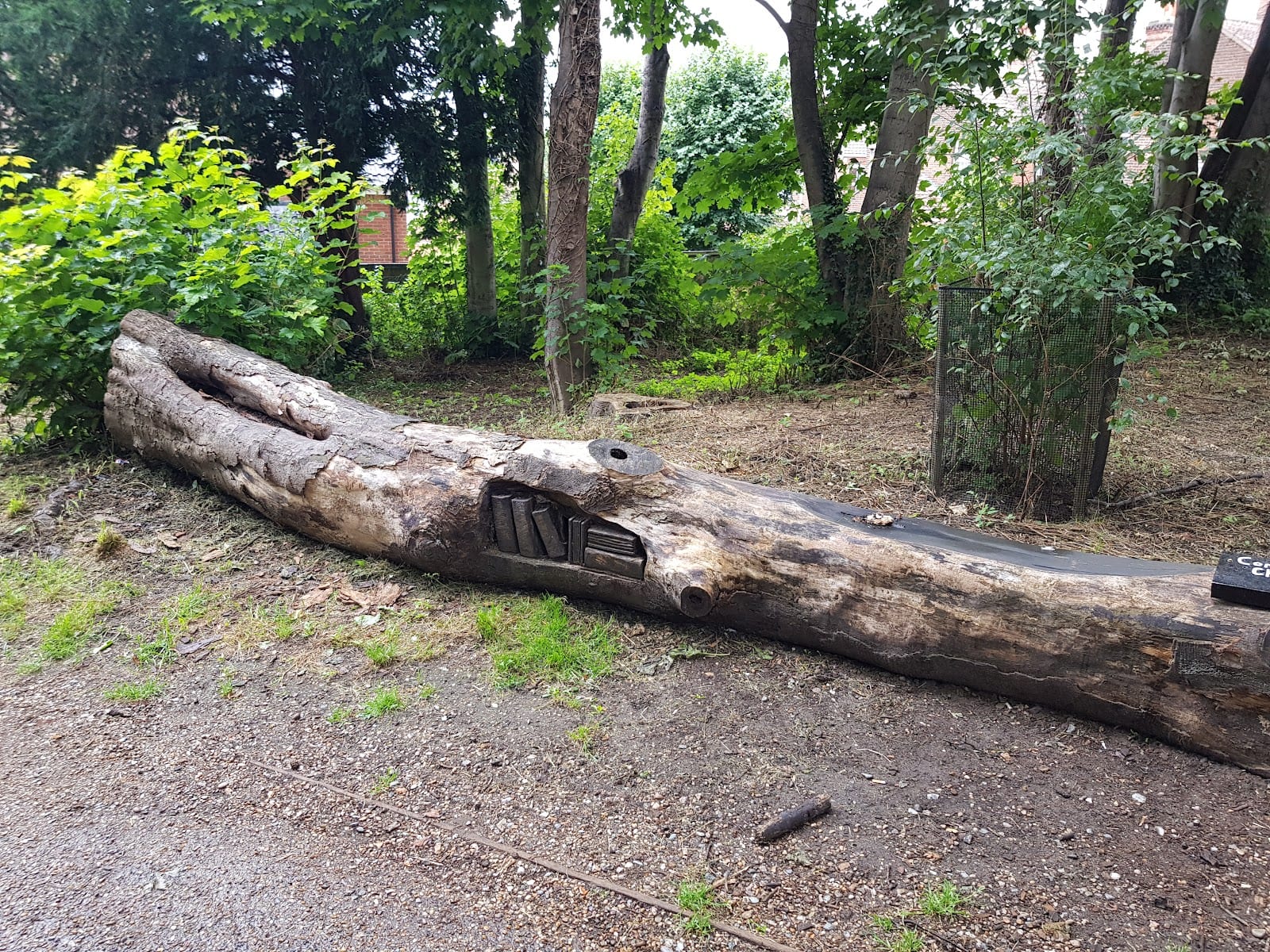 Old Library Wood
