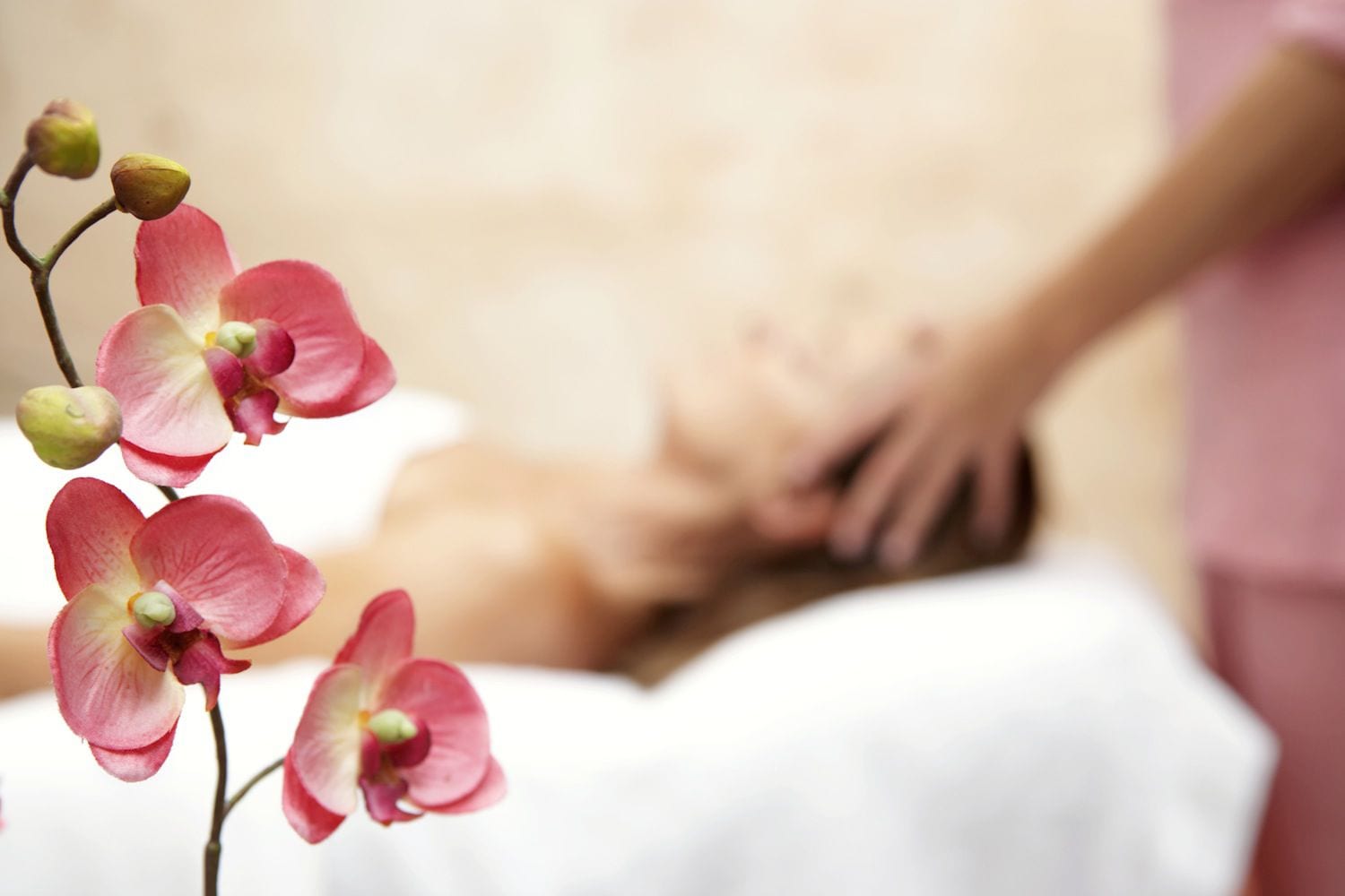 The Country Doc Shop | Osteopathic Manipulative Medicine, Alternative Holistic Medicine