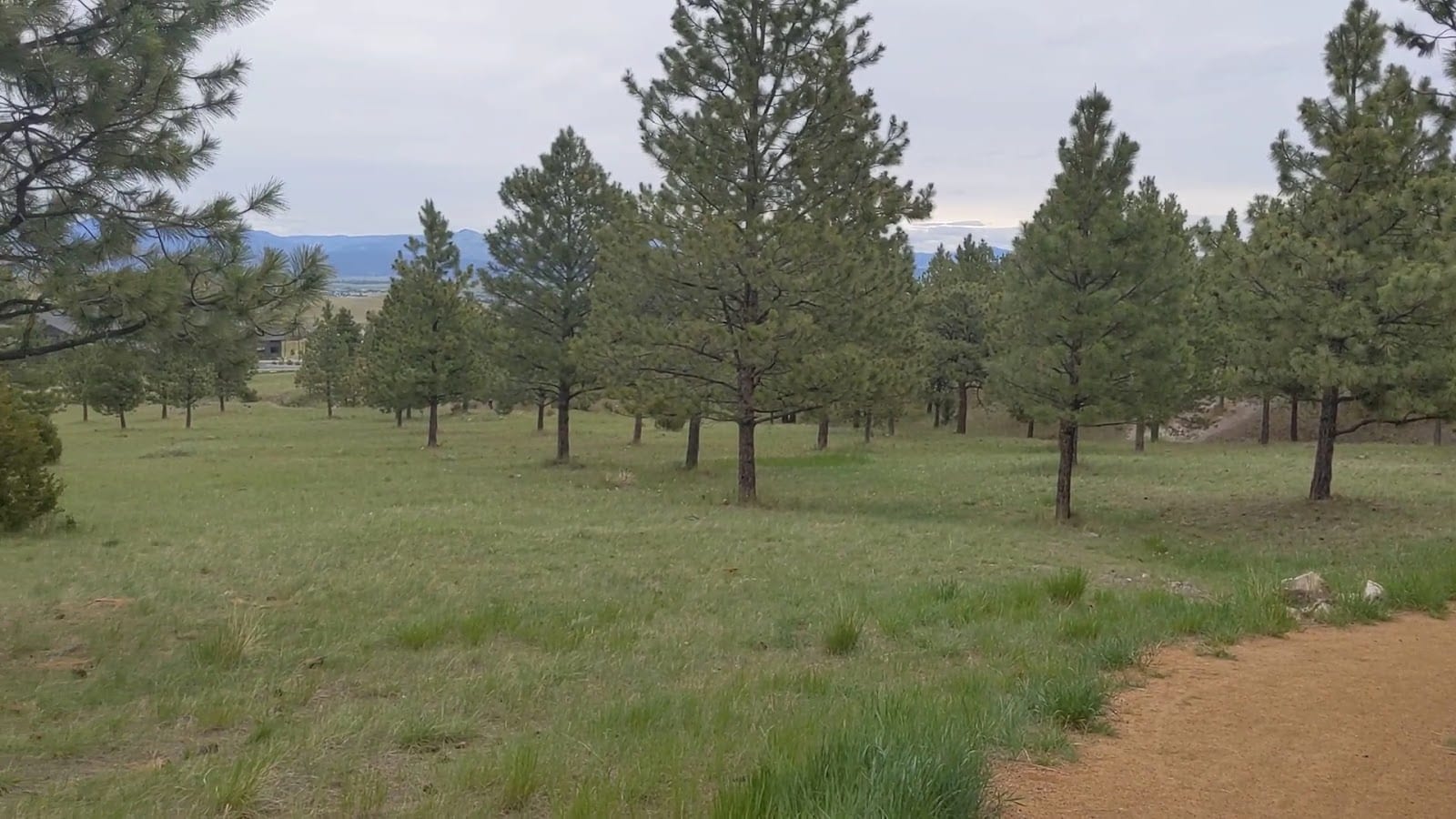 South Hills Disc Golf Course, photo 2