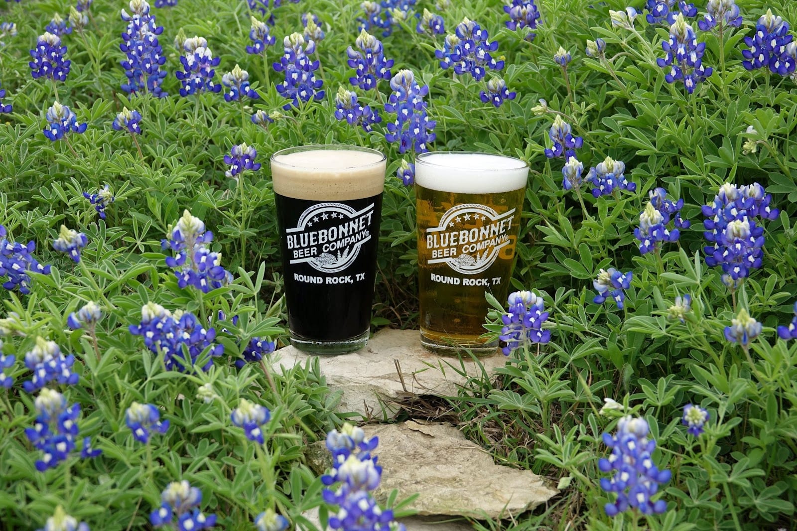 Bluebonnet Beer Company