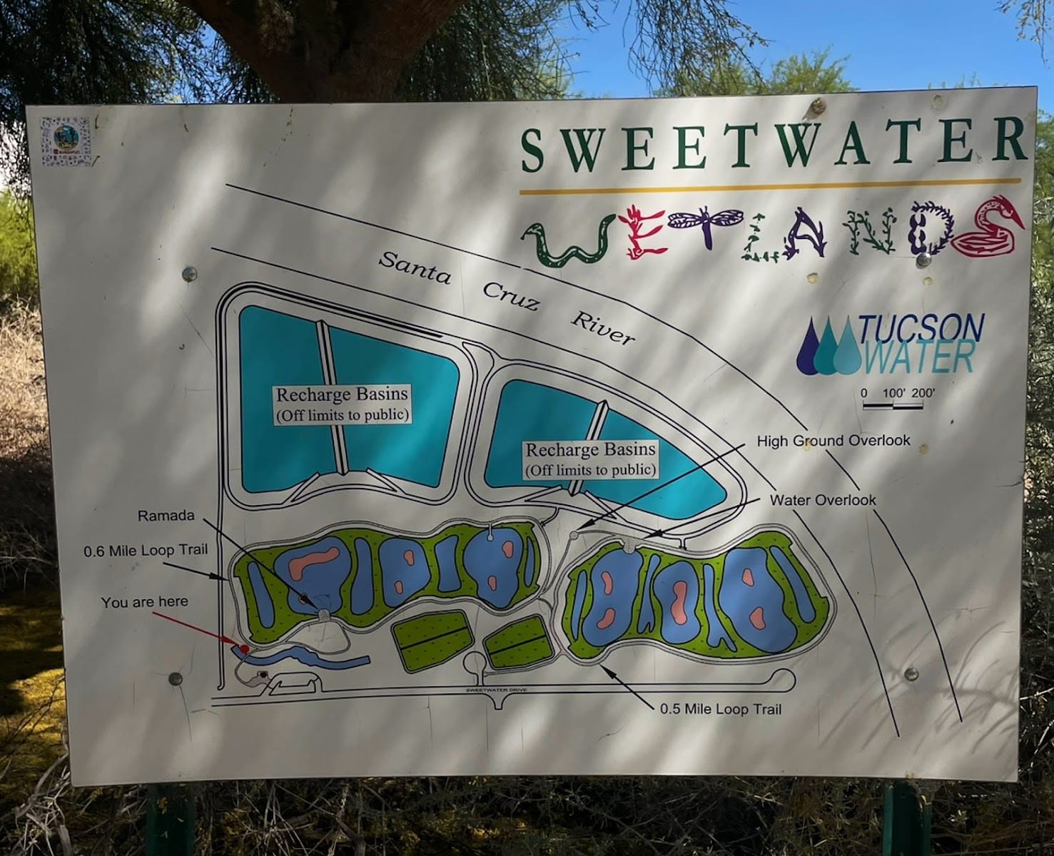Sweetwater Wetlands Park